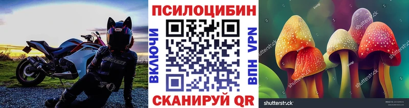 Псилоцибиновые грибы Magic Shrooms  Кстово 