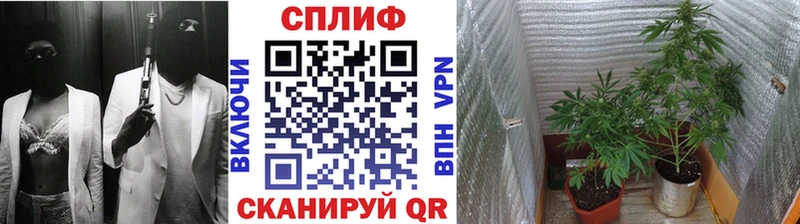 дарнет шоп Кстово Каннабис OG Kush